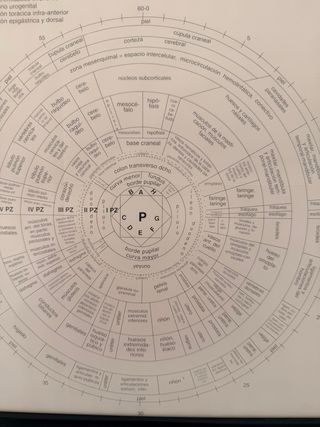 Cuadro Oftalmólogo Iris