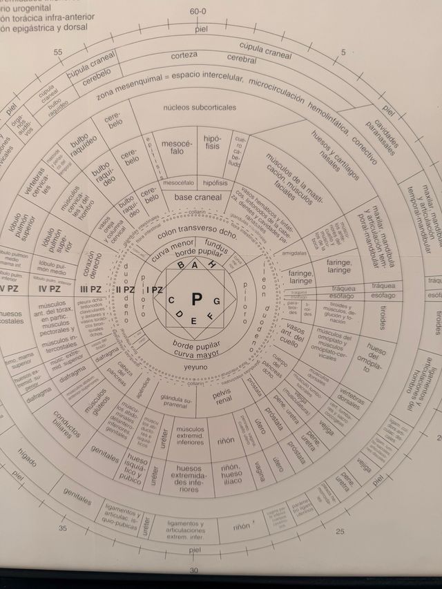 Cuadro Oftalmólogo Iris
