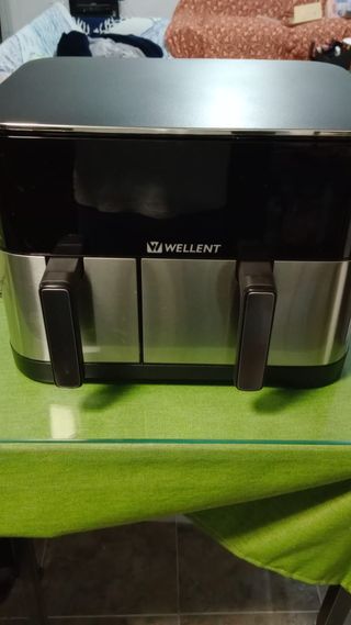 Freidora Doble Cesta Wellent 11L 2600W