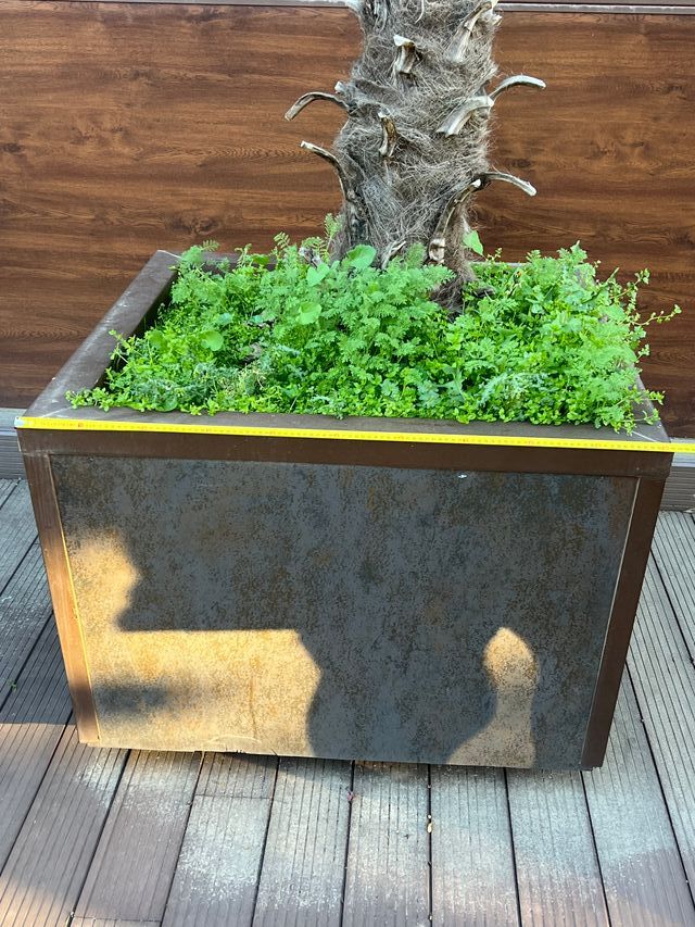 Palmera con maceta de obra Urbatek