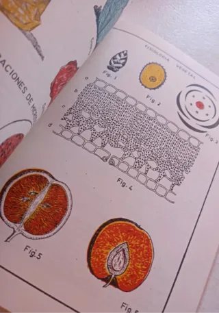 Dibujo 5 Curso de Bachillerato. Año 1972