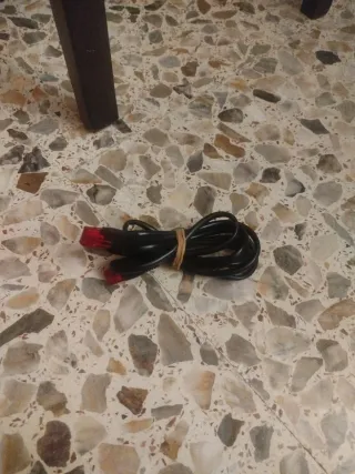 Cable Ethernet Negro