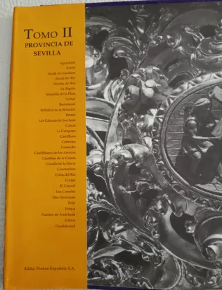 Libro nazarenos de Sevilla II