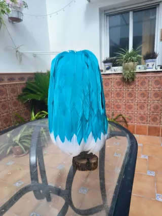 Plumero Judio adulto azul y blanco