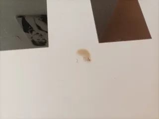 Mesa blanca con 4 sillas modernas