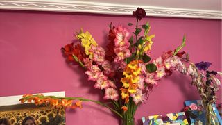 Bulbos de Gladiolos - 45 Unidades