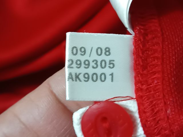 Camiseta Rugby Lions Sudáfrica 2009 Adidas