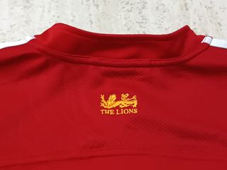 Camiseta Rugby Lions Sudáfrica 2009 Adidas