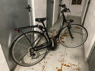 Bicicleta Paseo BH London