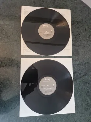 Sting - Nothing Like the Sun Doble Vinilo LP