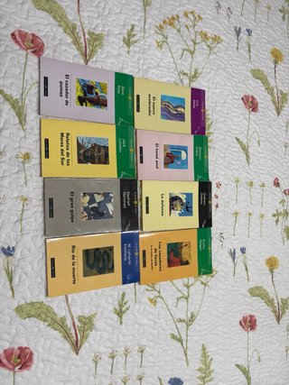 Libros las novelas del verano