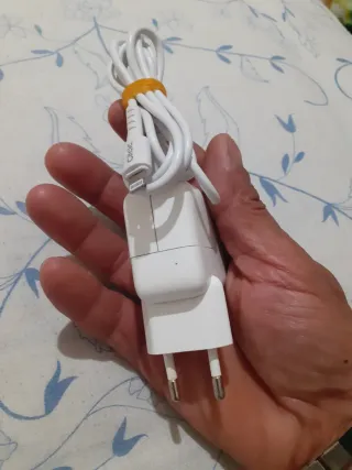 Caricatore Apple iPhone Bianco