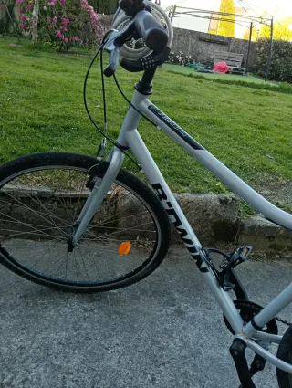 Bicicleta BTWIN Riverside Argento