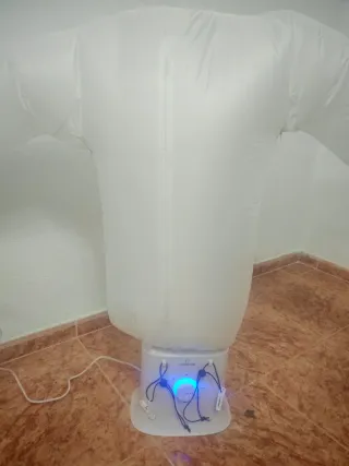 Secadora y Planchadora Automática 2 en 1