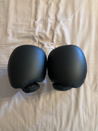 Guantes de Boxeo Advanced Fighting Gear