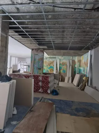 ​Pladur: Tabiques, techos falsos y,,,