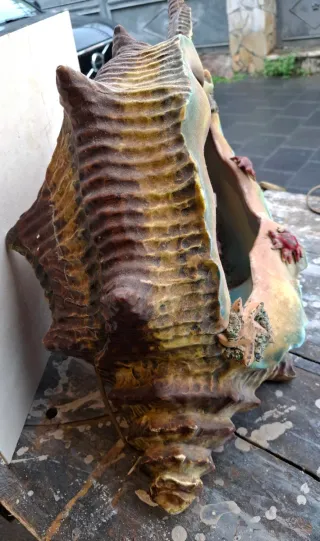 Lampada ceramica antica conchiglia acquario