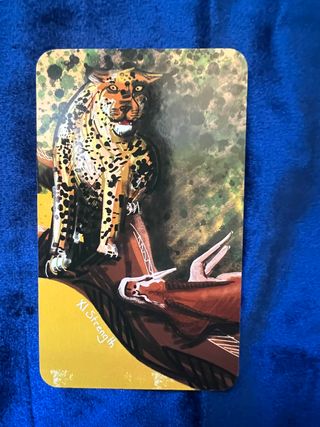 The Orisha Tarot - Andrew McGregor (NUEVO)