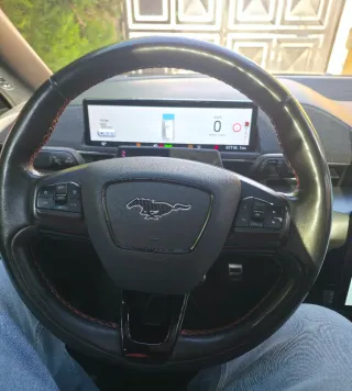 Ford Mustang Mach-E 2021