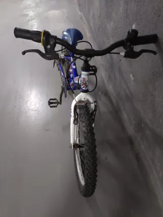 Bicicleta Niño Rueda 20"