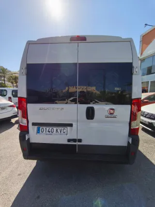 FIAT Ducato 2019