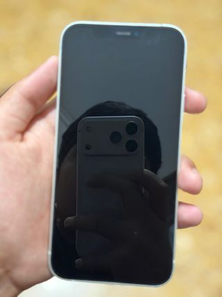 iPhone 12 Plata/Blanco