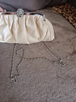 Pochette champagne con dettagli argento