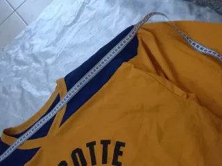 Camiseta Vintage Turcotte Hockey School