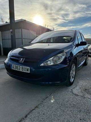 Peugeot 307 2002