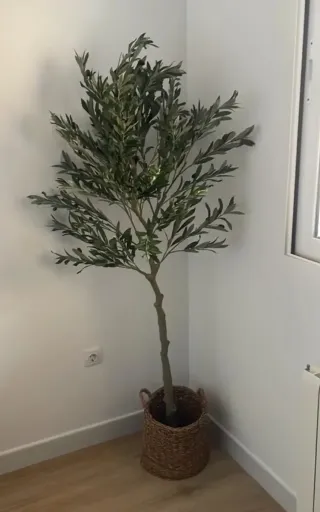 OFERTA Pack 2 Olivos Artificiales NUEVOS 120 CM