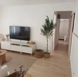 OFERTA Pack 2 Olivos Artificiales NUEVOS 120 CM