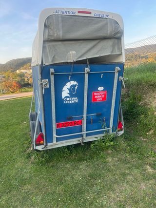 Remolque para caballos pullman. 2 caballos