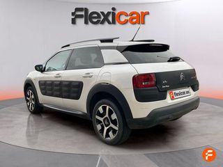 Citroën C4 Cactus BlueHDi 73KW (100CV) Business