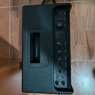 Amplificador Fender Mustang LT25