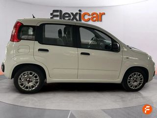 Fiat Panda Panda Hybrid 1.0 Gse 51kw (70CV)