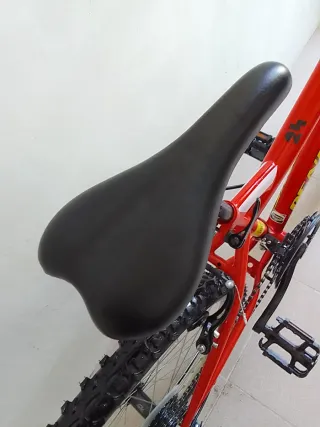 Bicicleta Roja DENBIKE niño 24"para 9_10