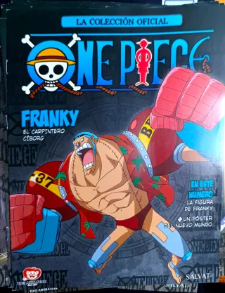 Pósters One piece que vienen en pequeñas revistas.