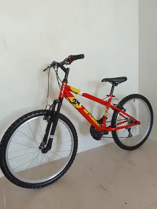 Bicicleta niño DENBIKE 24 pulgadas