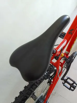 Bicicleta niño DENBIKE 24 pulgadas