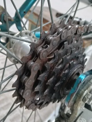 Bicicleta Raleigh MTB