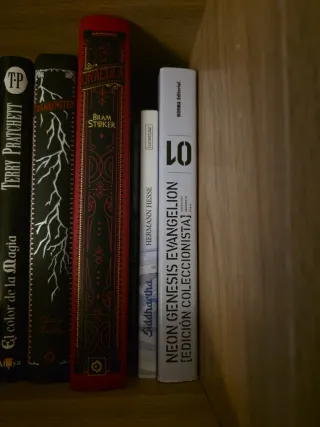 Manga tomo 1 evangelion