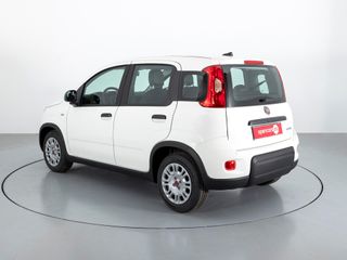 FIAT PANDA MY23 1.0 HYB 70CV