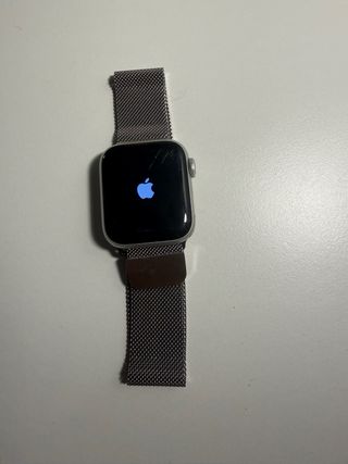 Correa Apple Watch Gris/Plata