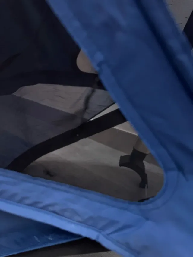 Capota Bugaboo Verano Fox y camaleón