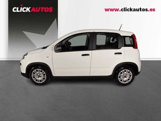 FIAT PANDA 1.0 70CV HYBRID