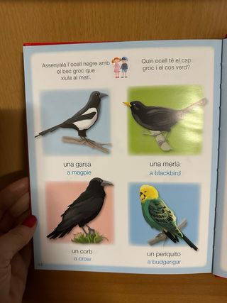 Diccionari Català- Anglès infantil