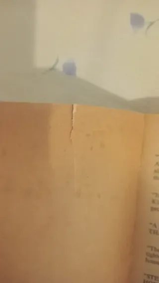 Cujo. Stephen King. LEER DESCRIPCIÓN