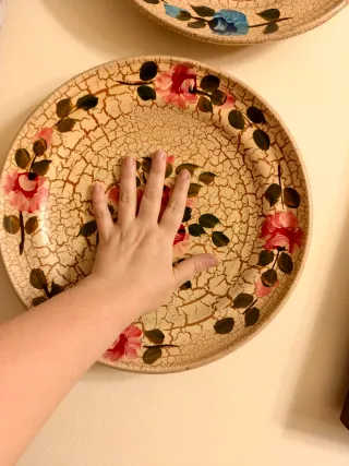 Piatti decorativi floreali vintage