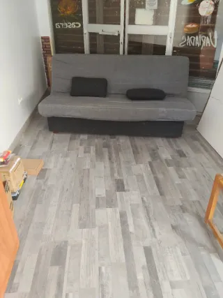 Sofá Cama con 2 Cojines