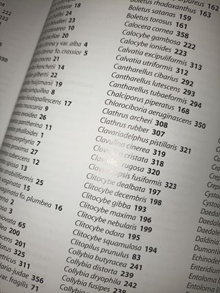 Guía práctica de las Setas